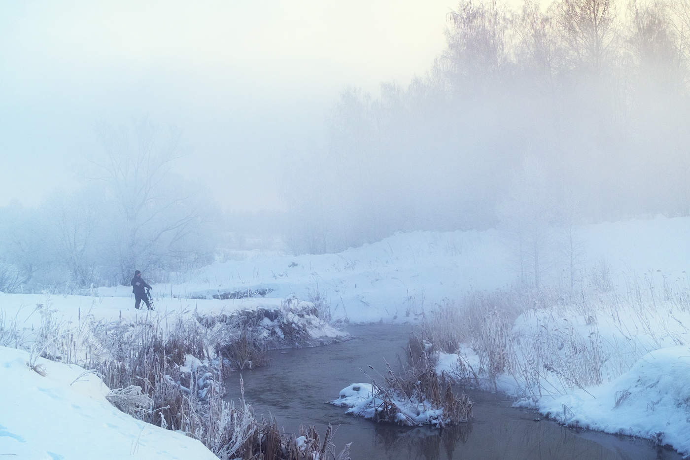 За хорошим кадром в морозный день