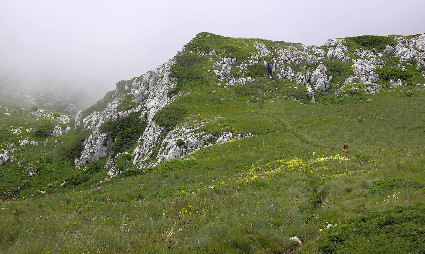 На верхнем плато Чатыр-Дага