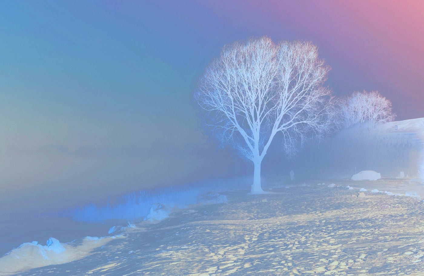 Радужные фантазии на тему зимы