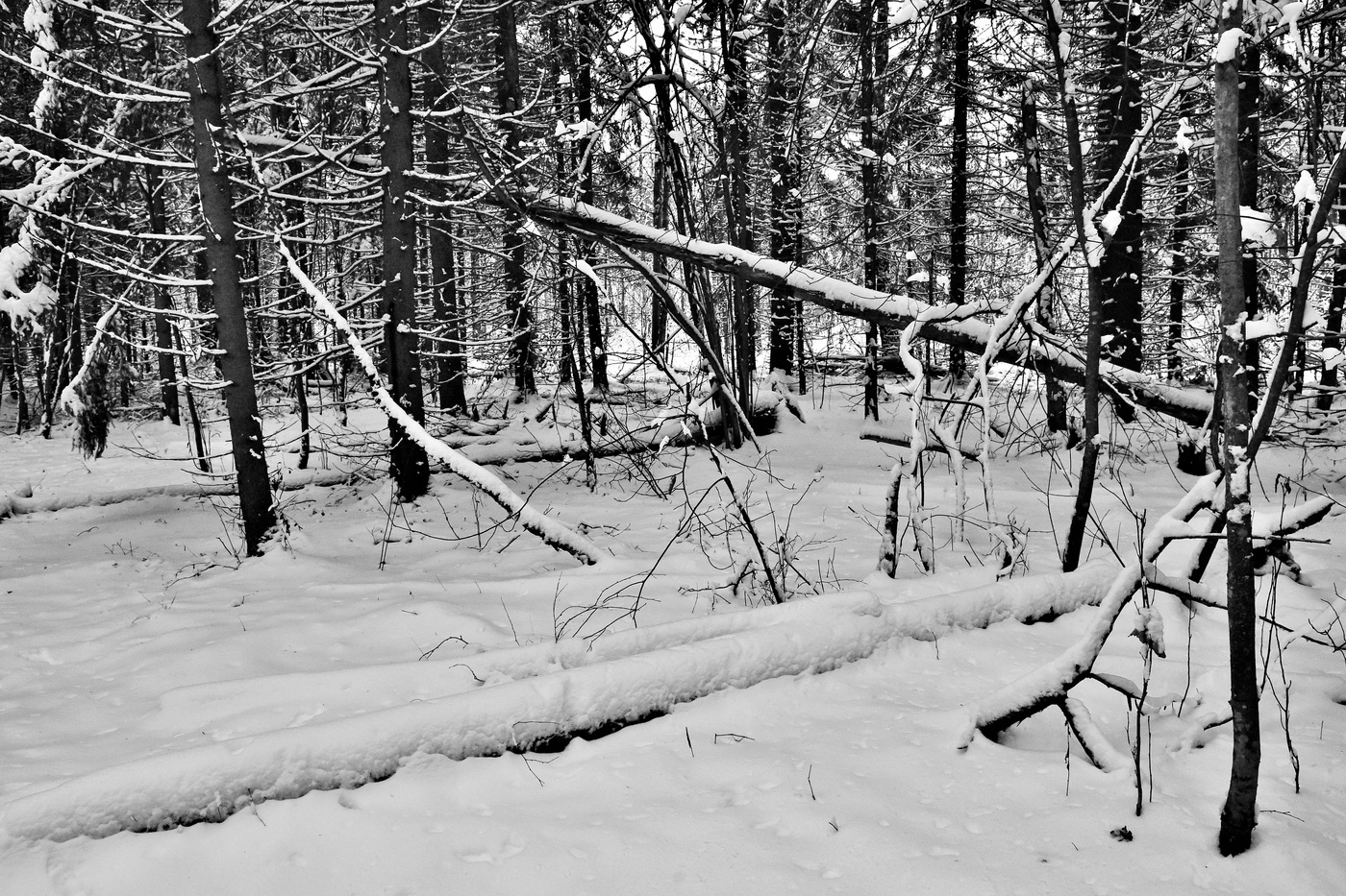 "Везде зима - внутри, снаружи ..."