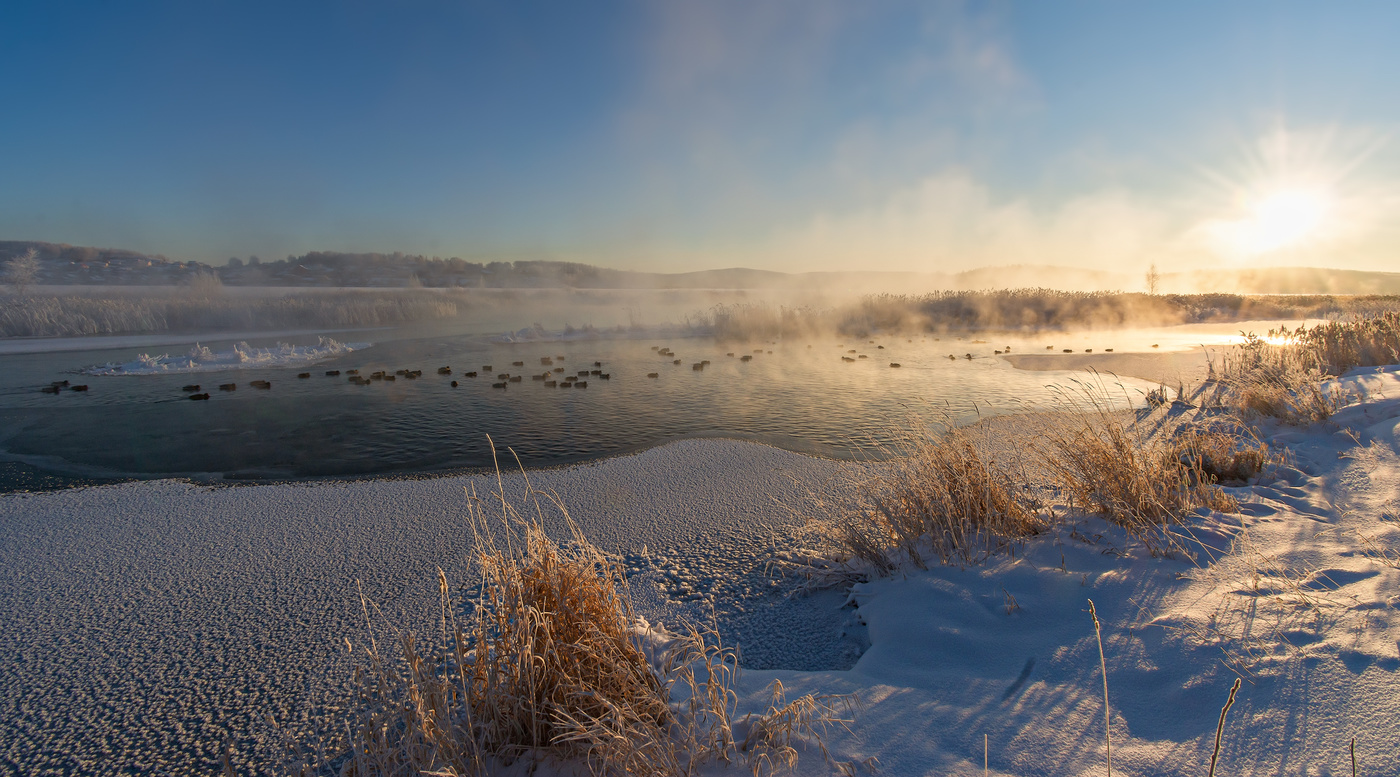 Утиный рассвет
