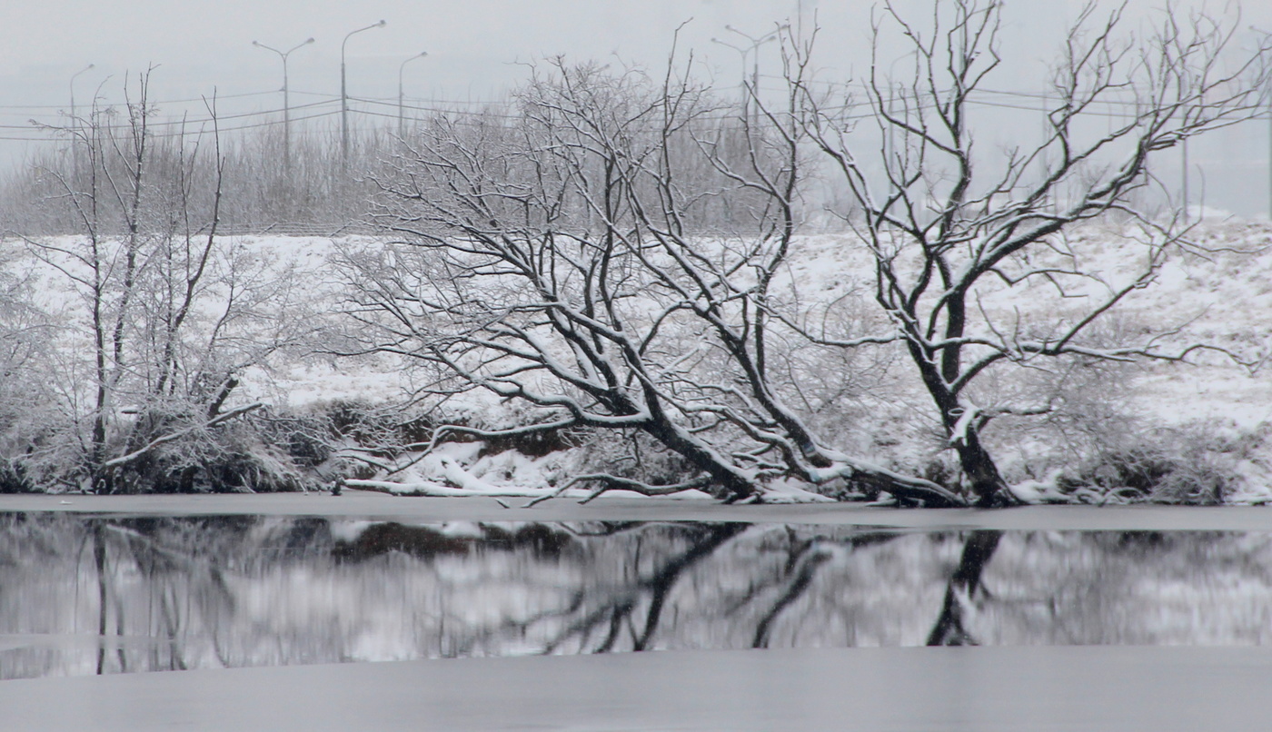 Зимняя зарисовка
