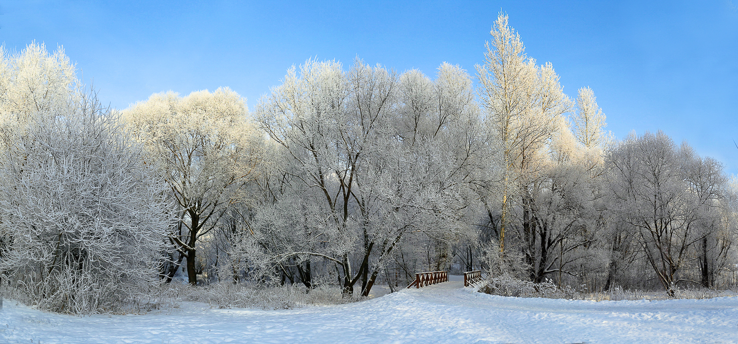 Зимняя зарисовка