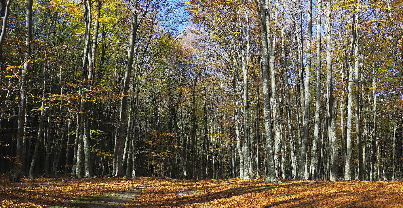 Осень в горах Крыма