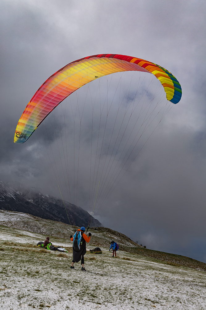 Люди, как птицы