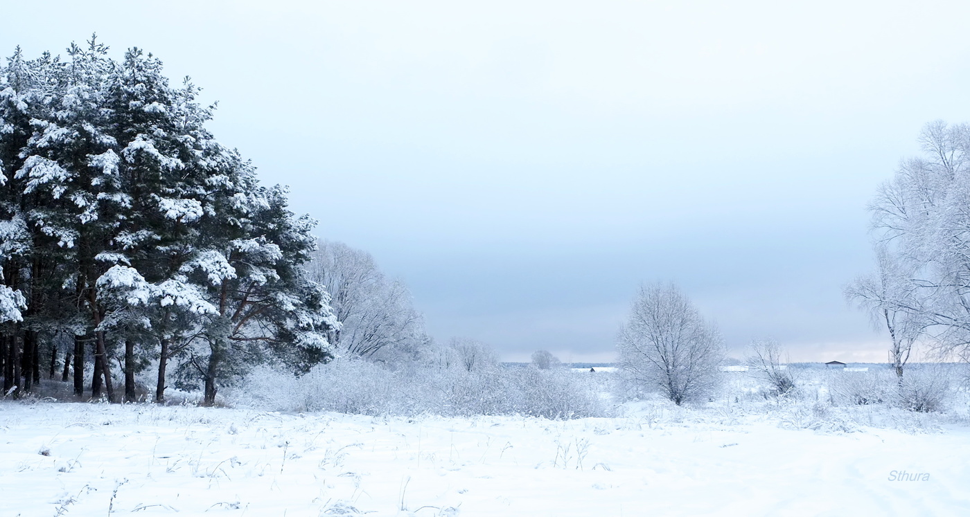 В зимний день.