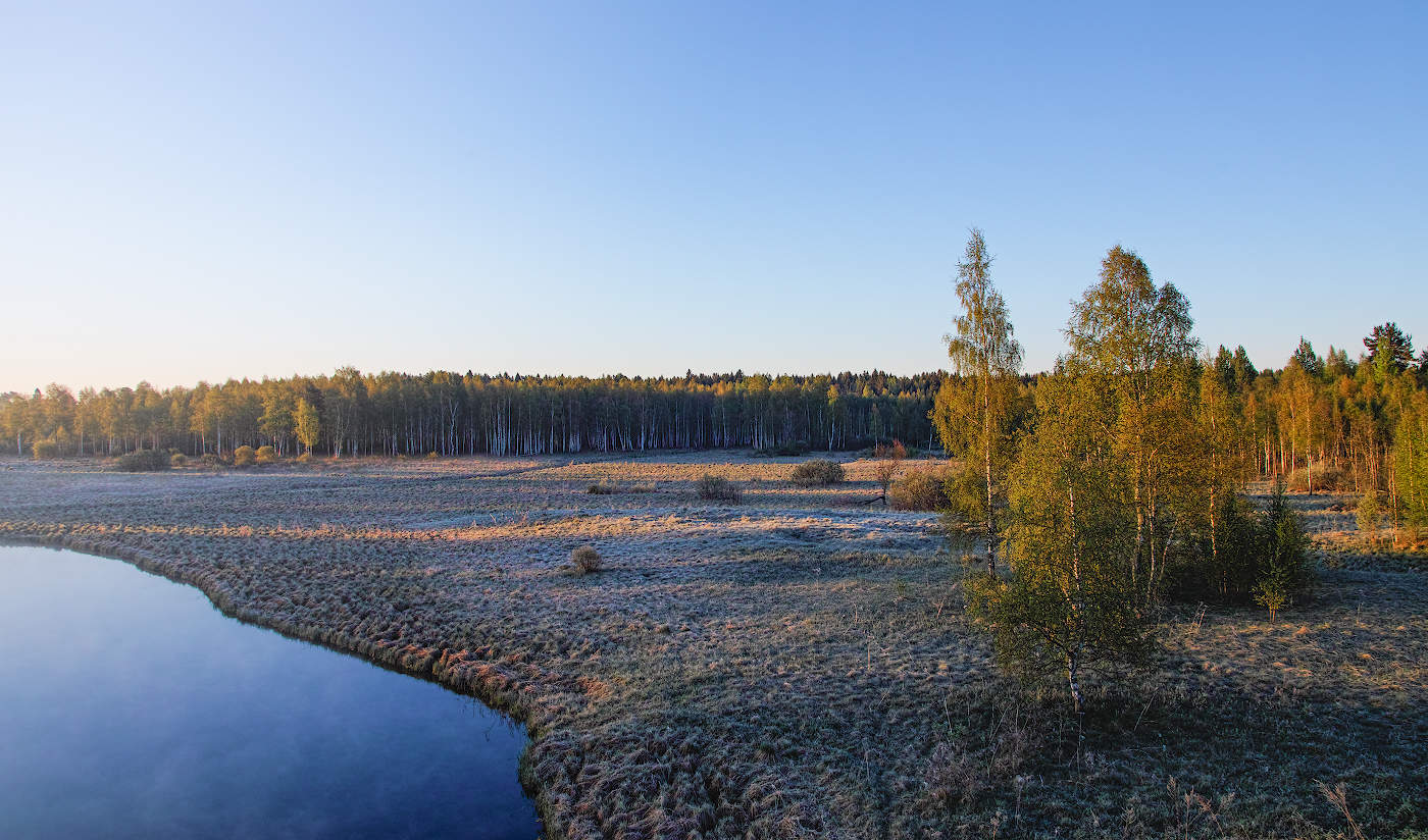 Майская изморозь