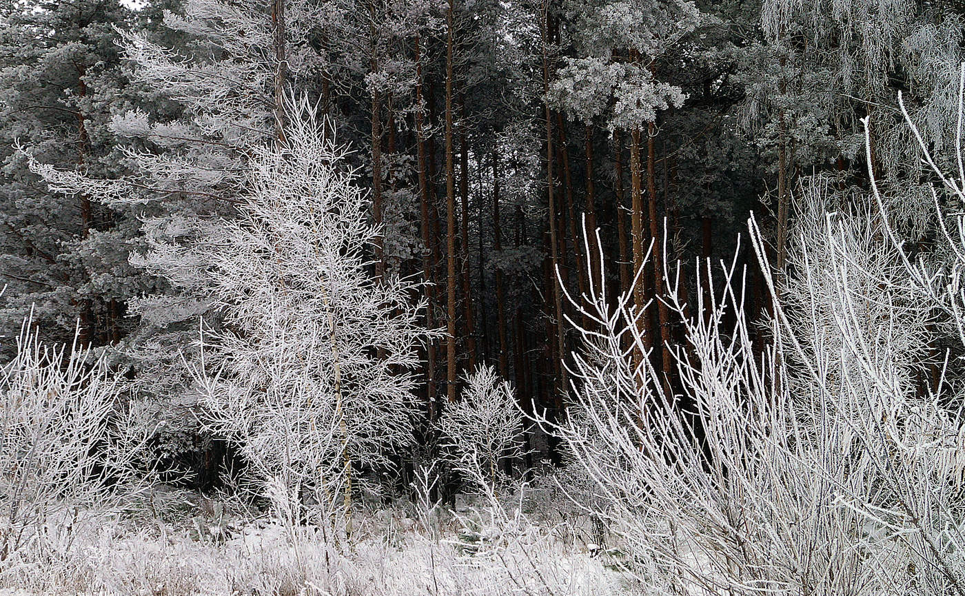 Пятничный просвет