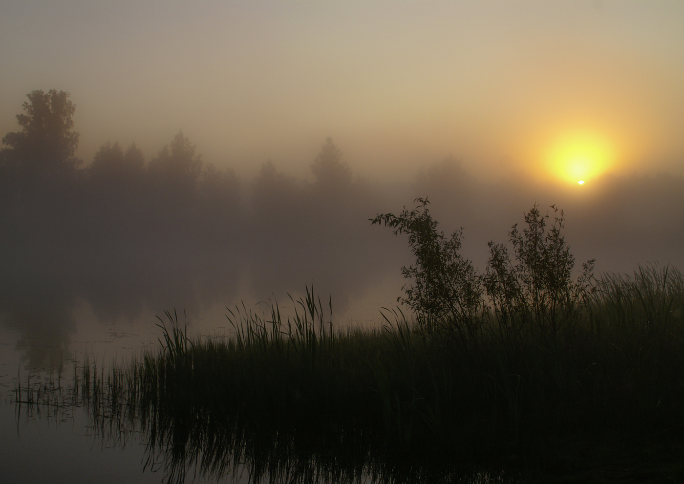 Пятничный просвет