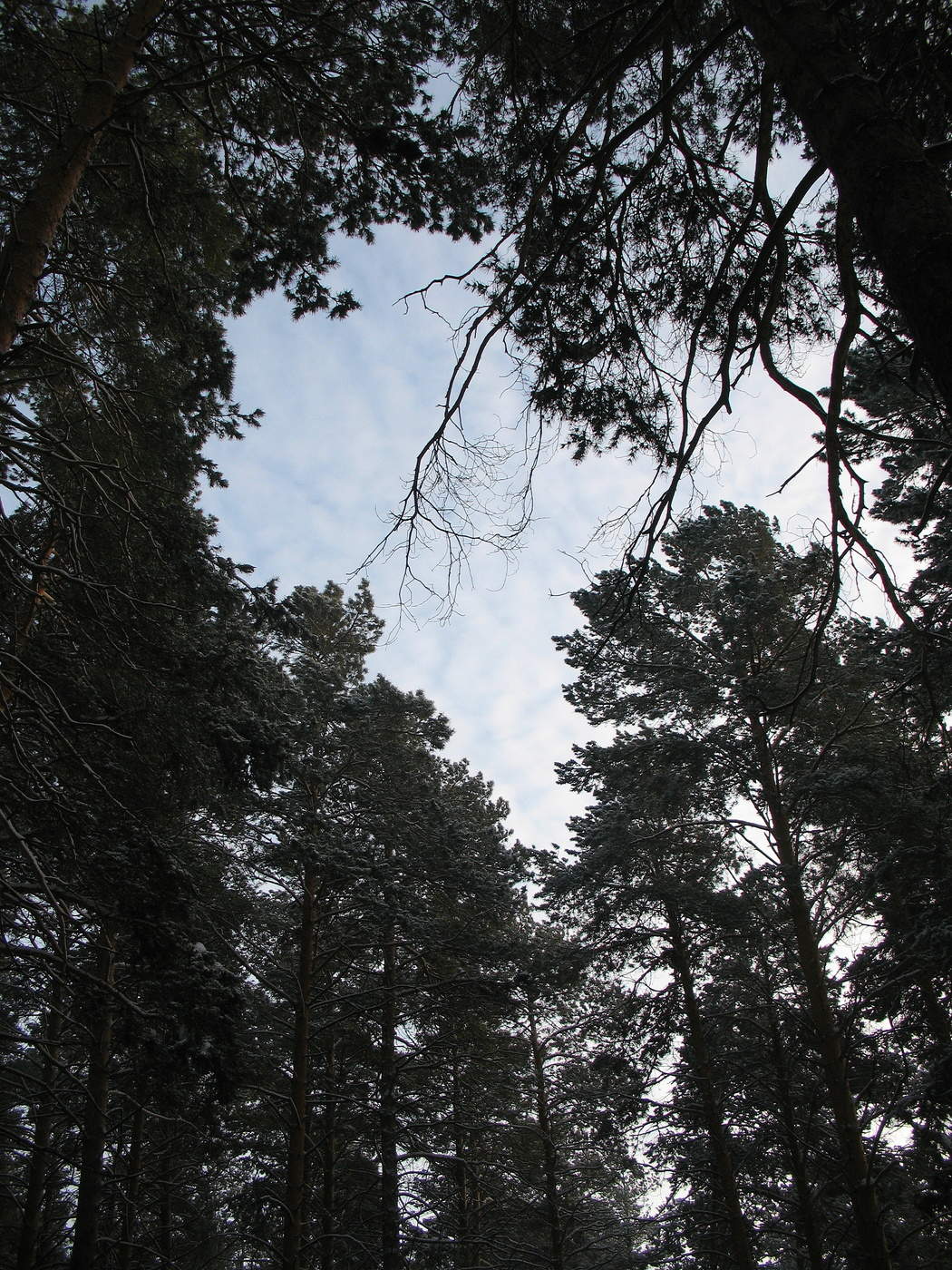 Пятничный просвет