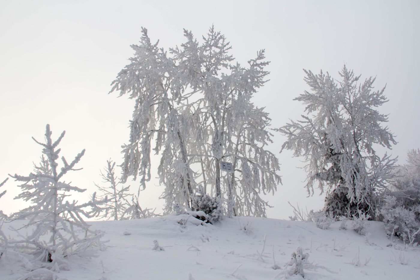 65 км ! Берег реки Енисей.