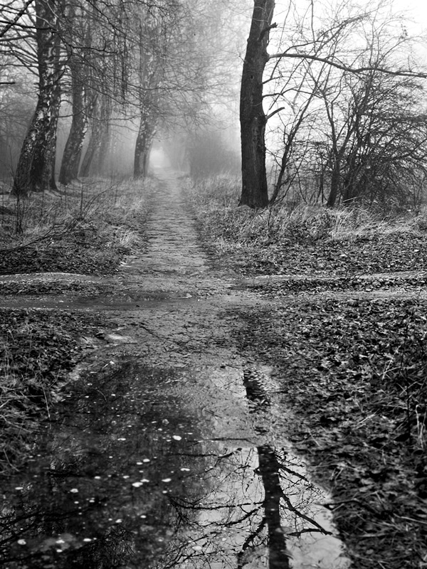 Пятничный просвет