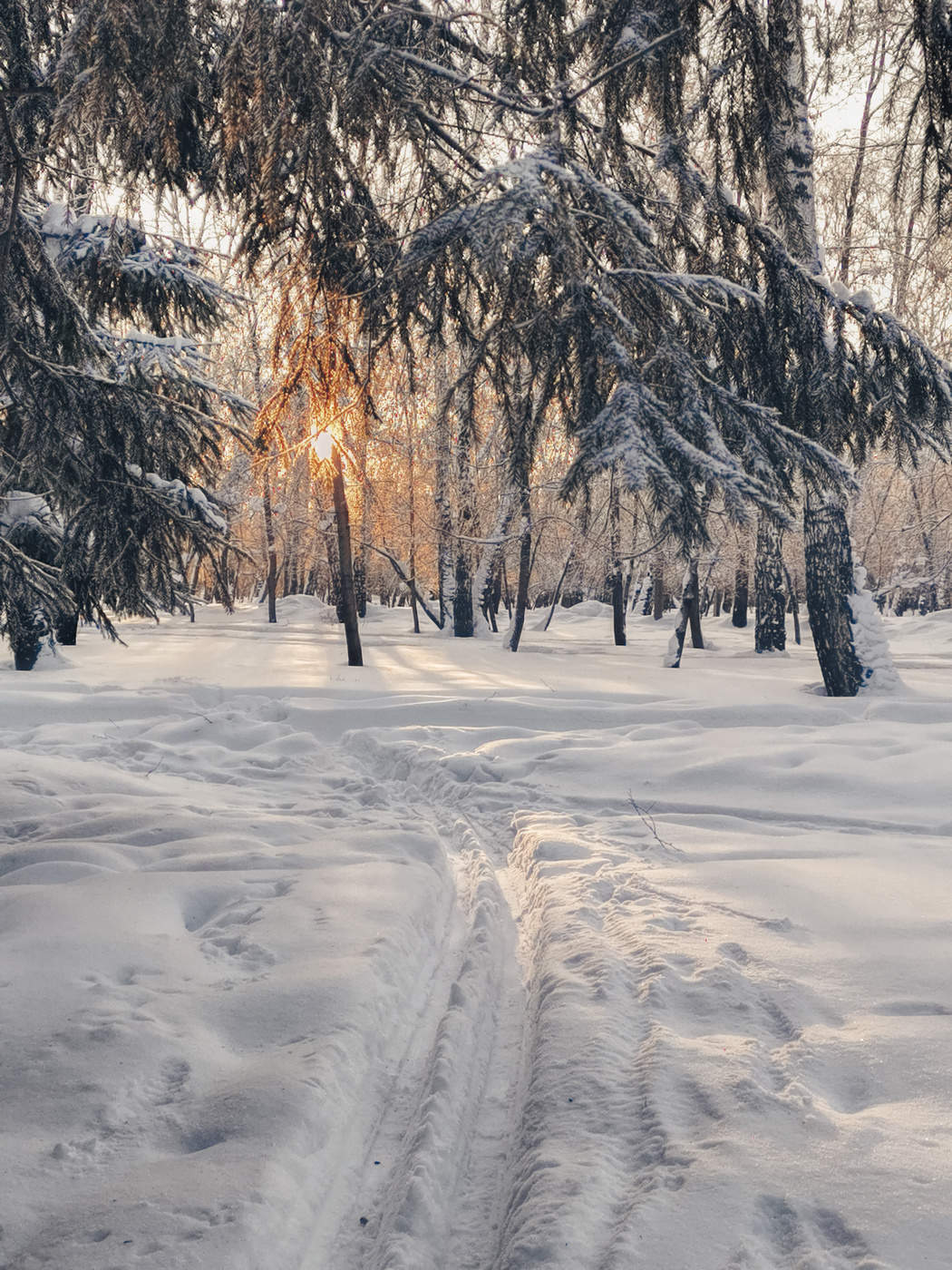 Пятничный просвет