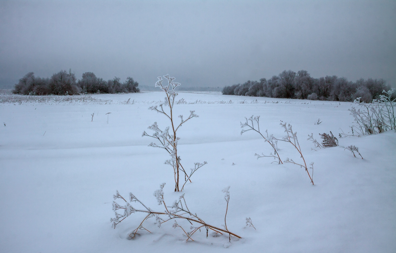 Про пасмурный морозный день
