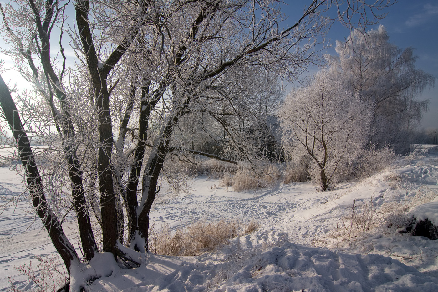 Десять лет назад