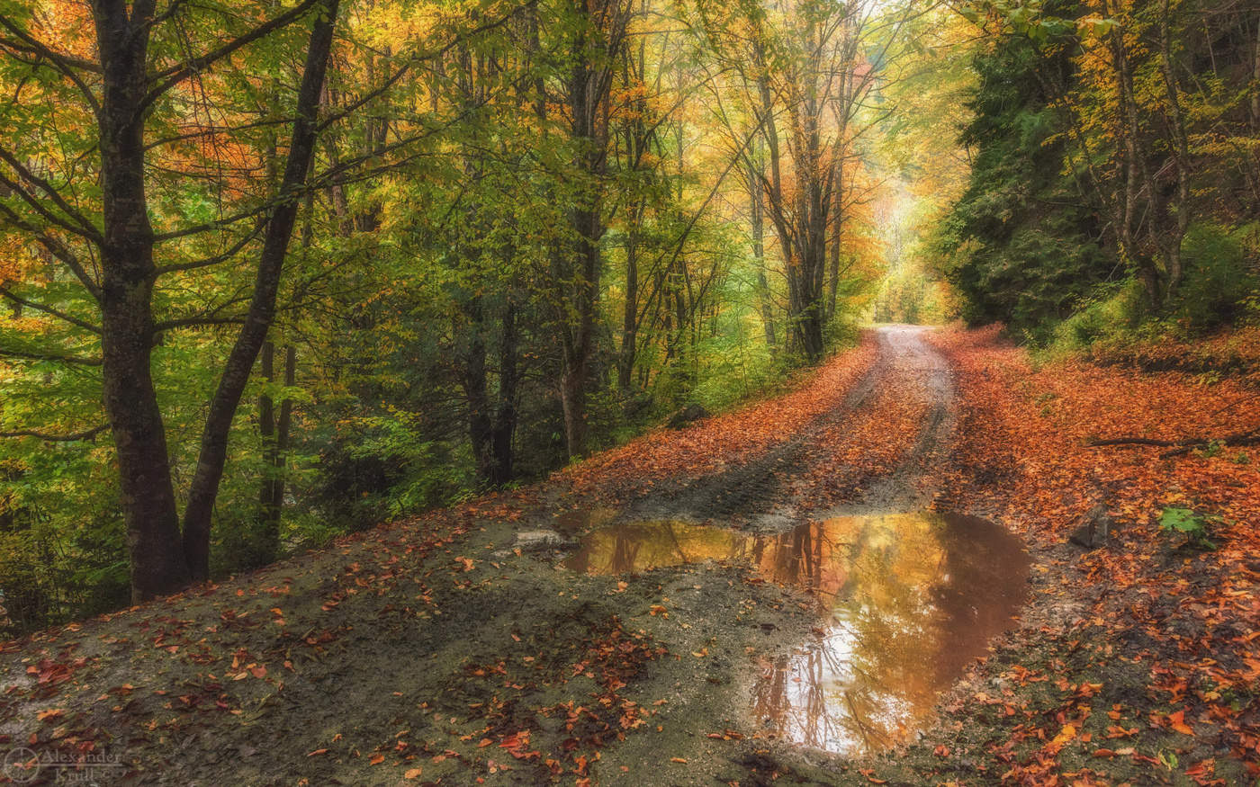 Осенней дорожкой...