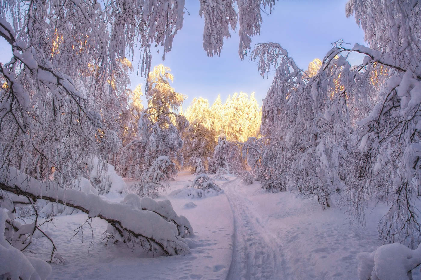 Путь к свету
