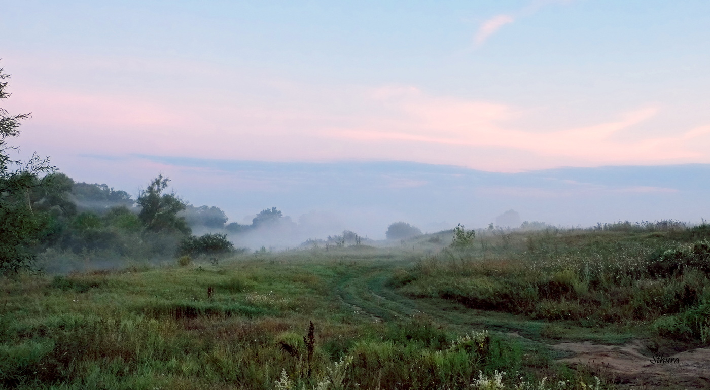 Туман по утру.