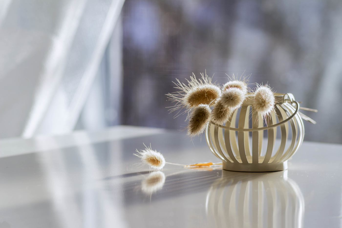 Нежданное солнце