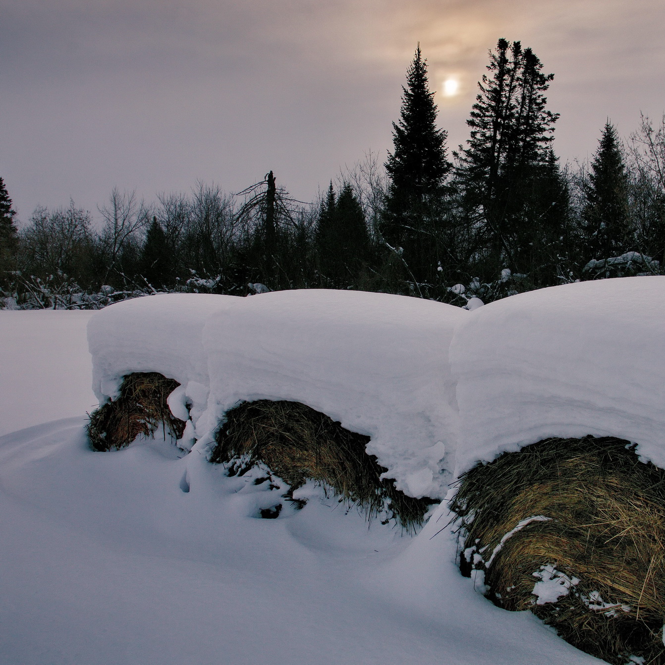 **Январский день.*