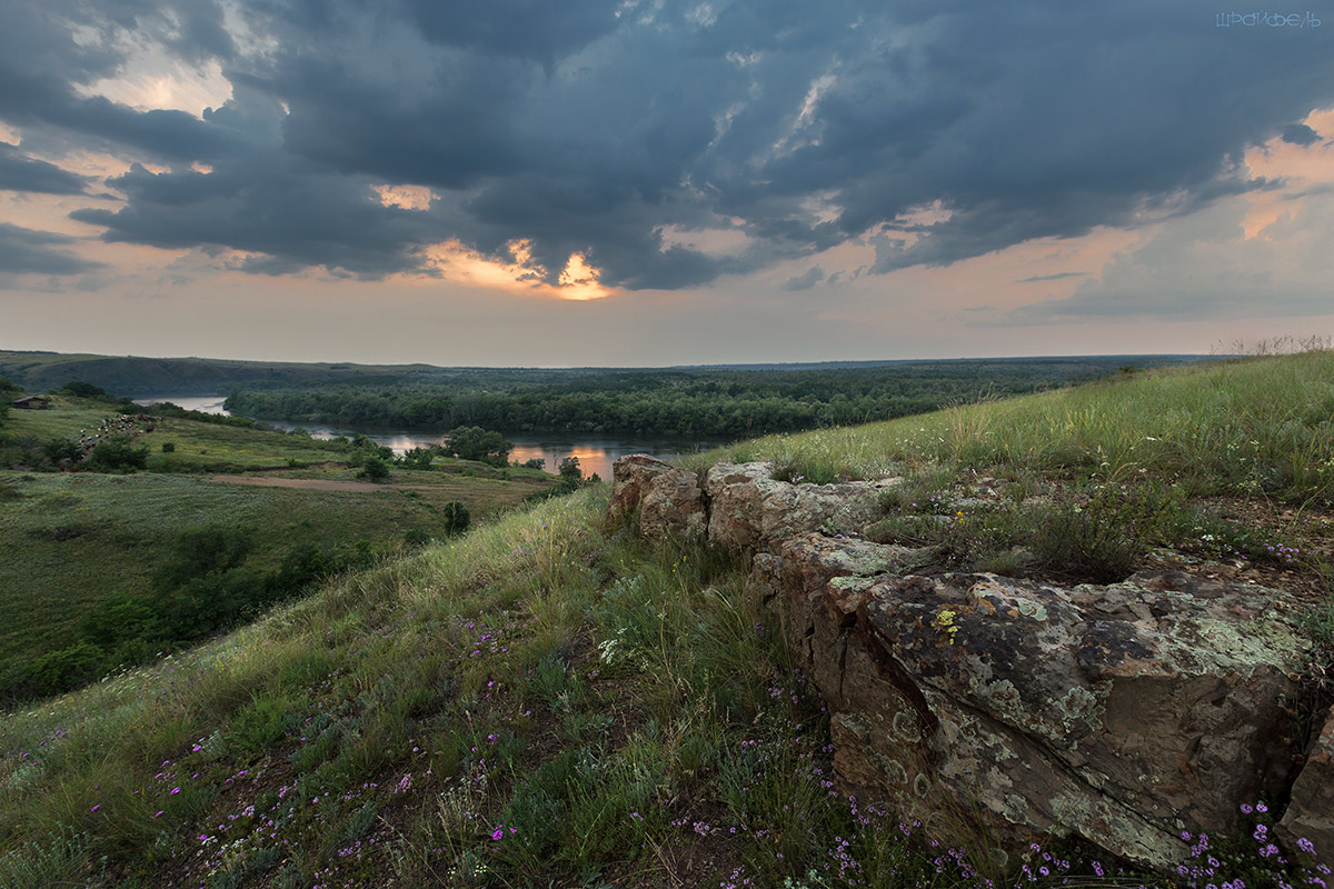 Тихим вечером