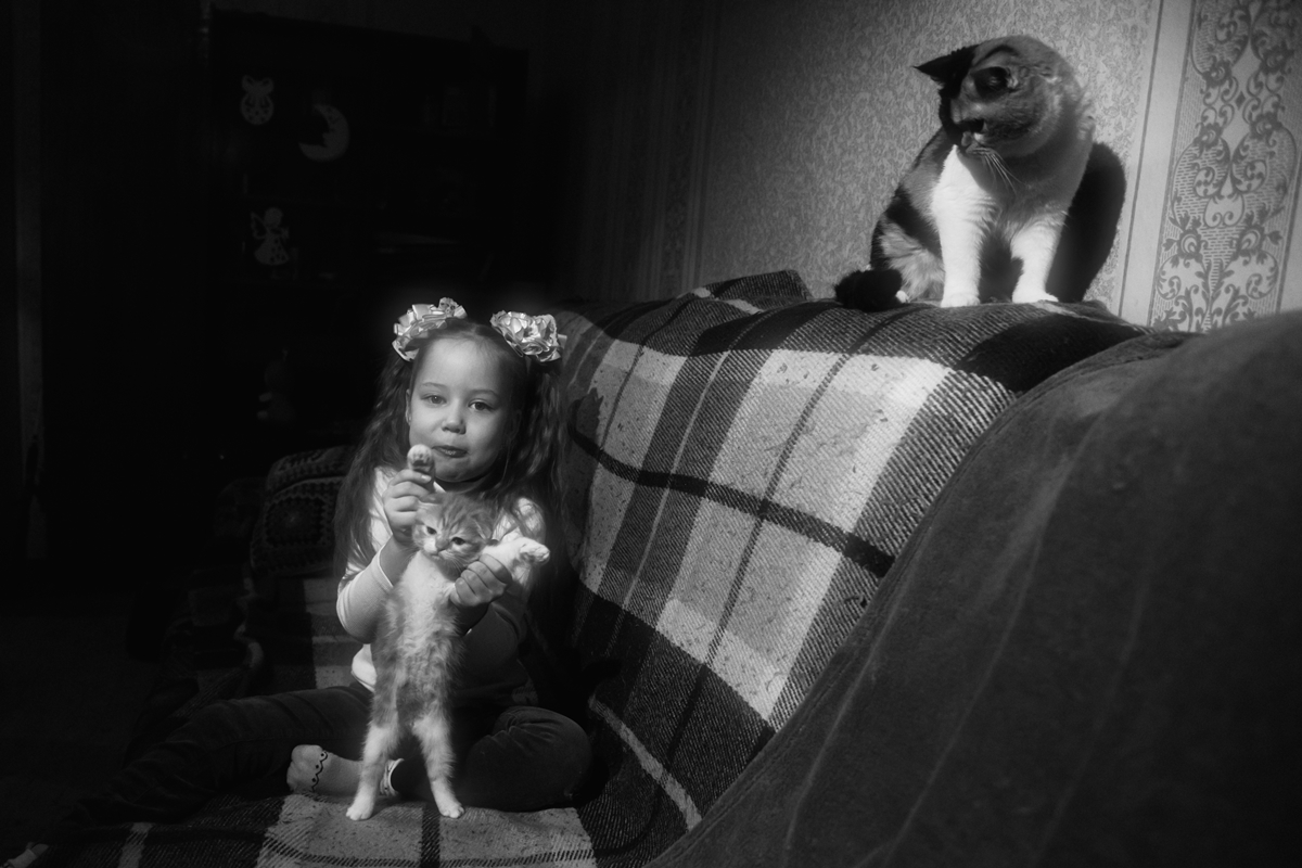 С котятами. Возвращение.