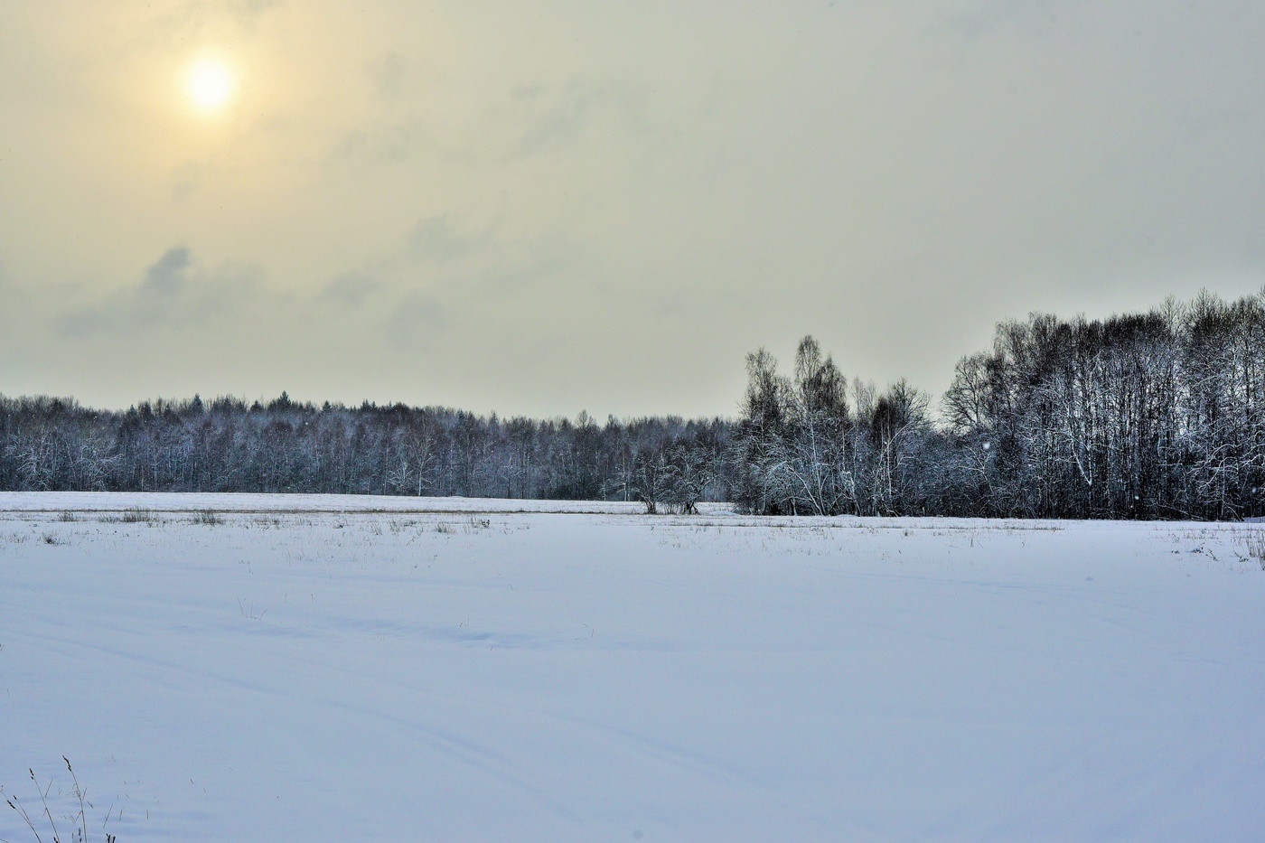 "Всюду снег; кругом все тихо ..."