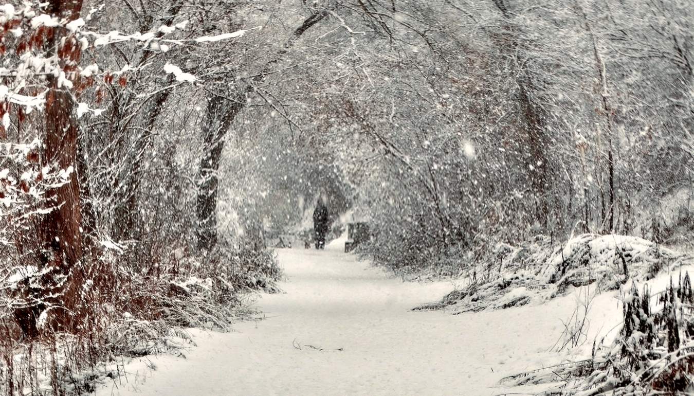Заметённый в снежном тоннеле