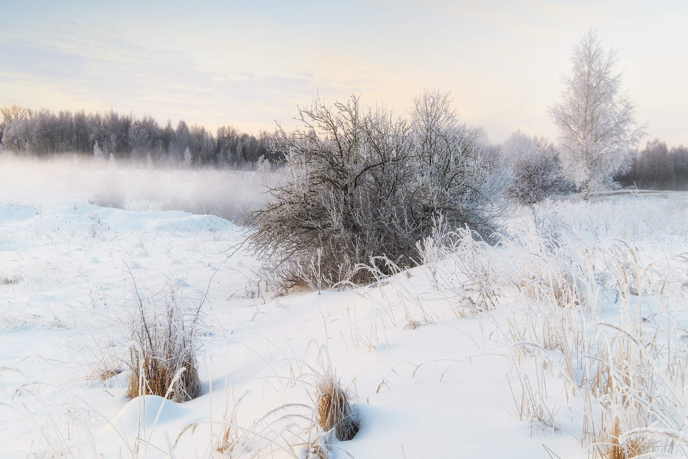 Средь зимнего поля