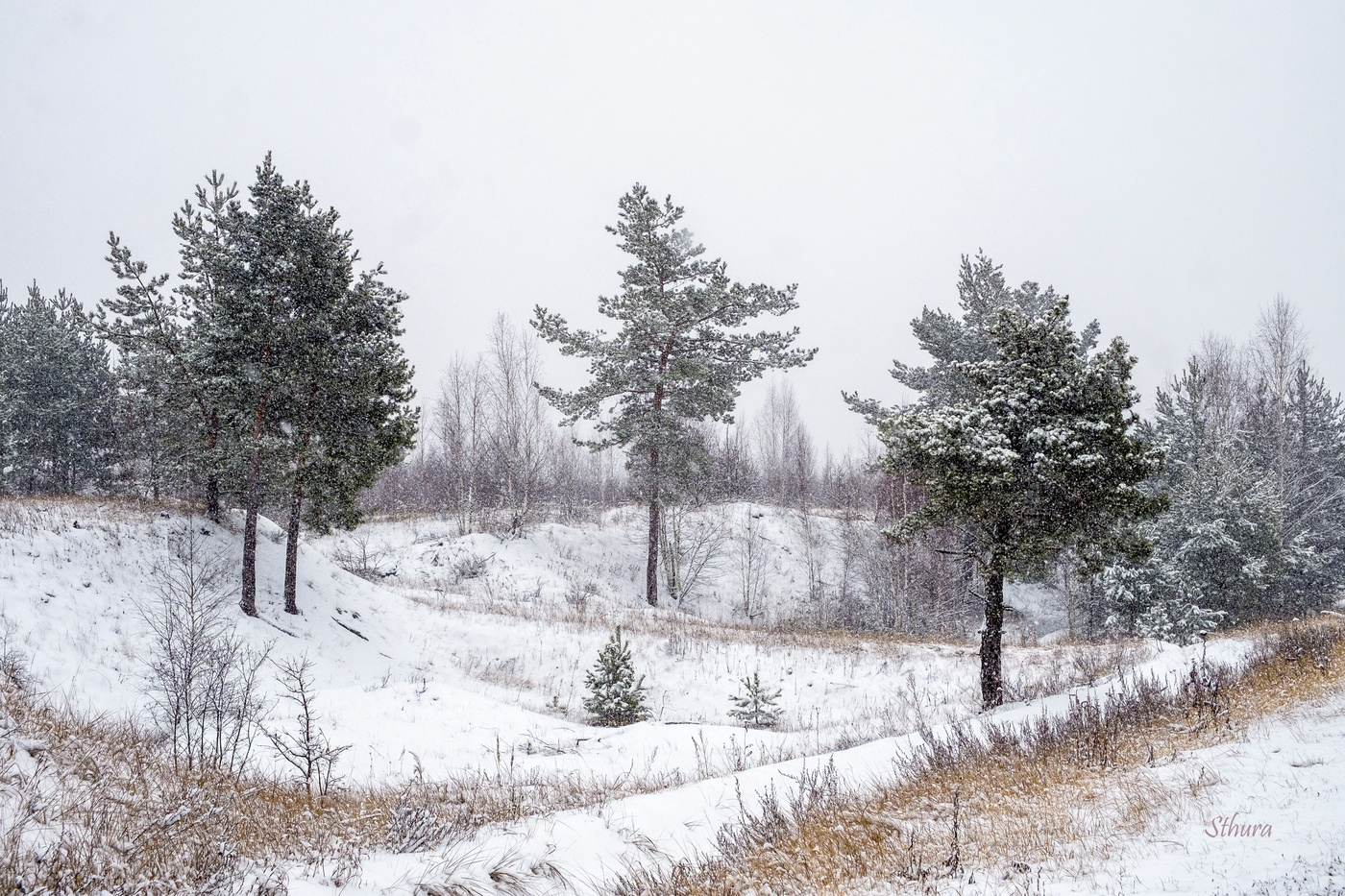 Середина зимы.