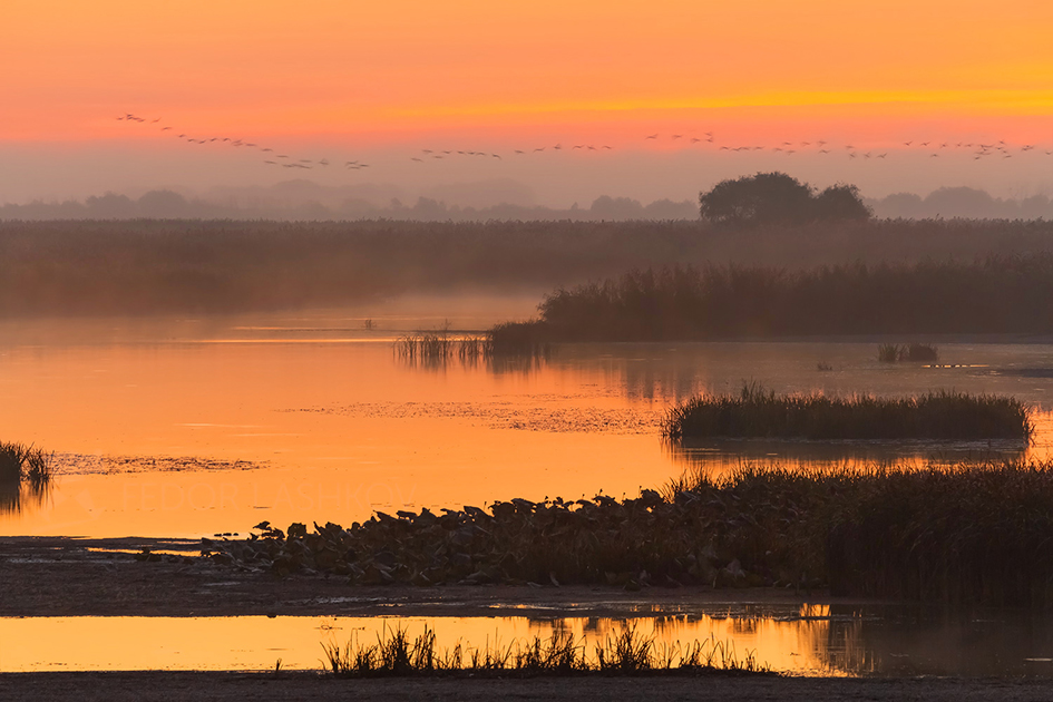 Осенний рассвет в заповеднике