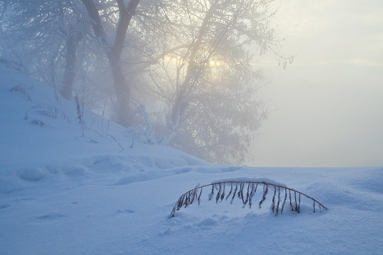 На зорях белизна морозная