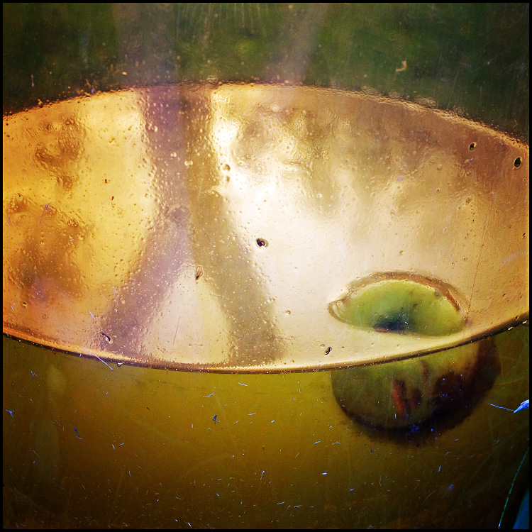 яблоко от яблони