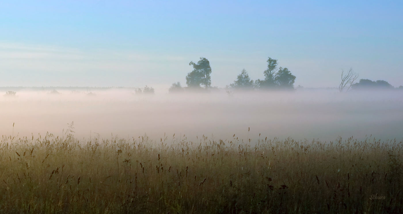 Туман в поле.