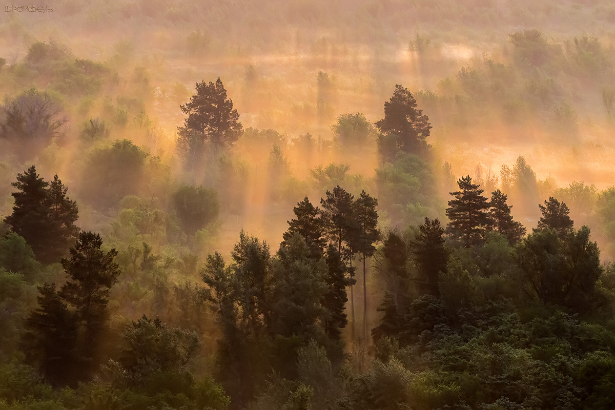 Солнце взошло