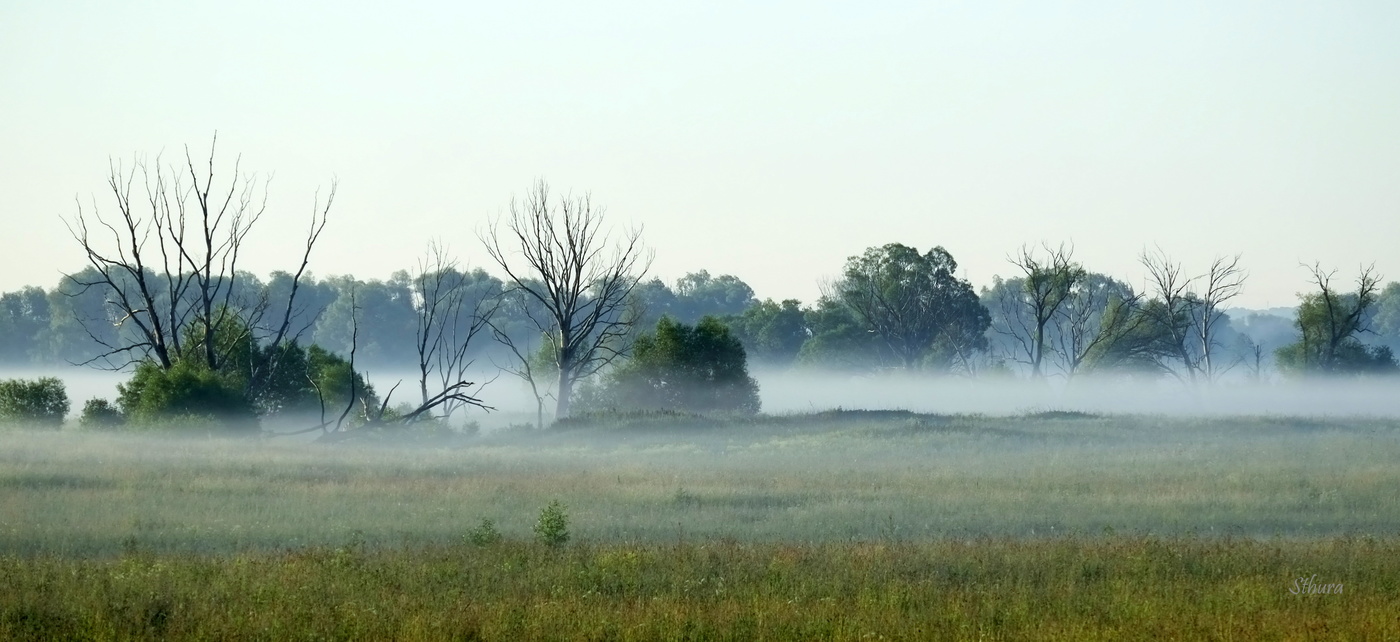 Низко стелется туман.