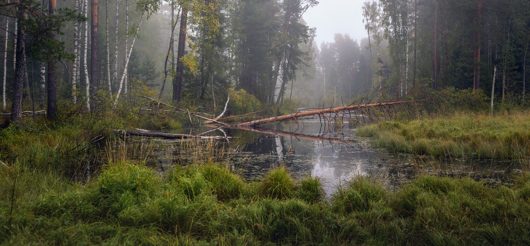Речка Суходол