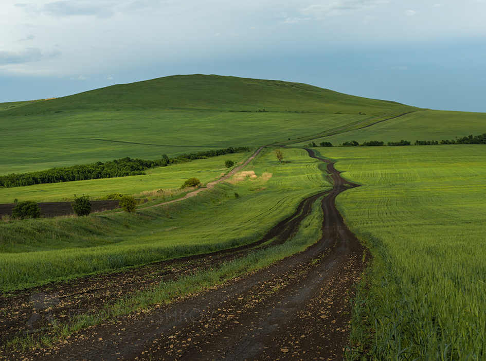 Дорога среди полей