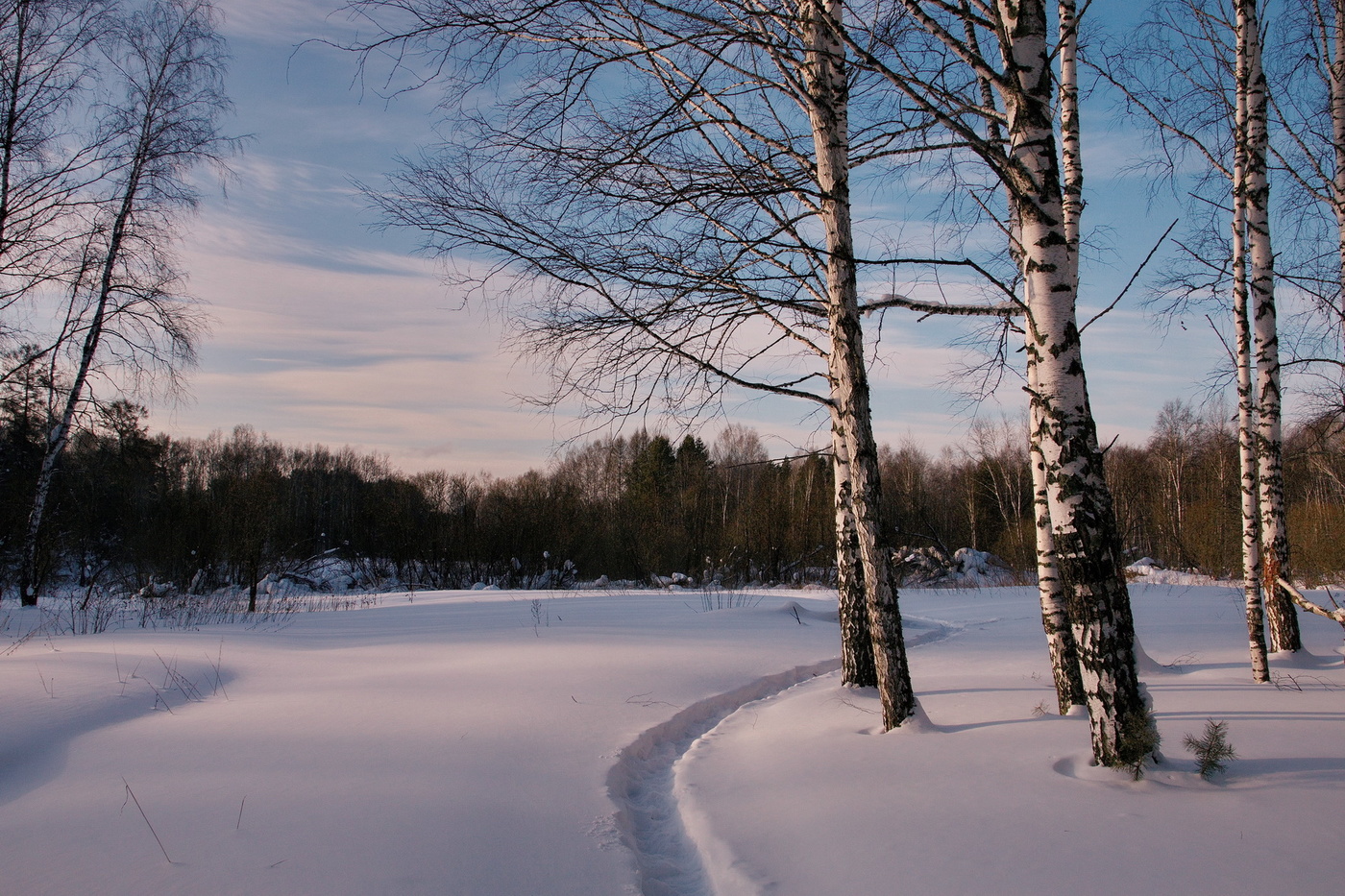 Зимний вечер.