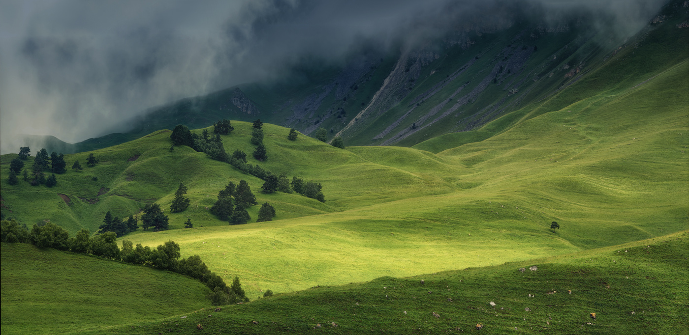 По волнам зеленого лета.