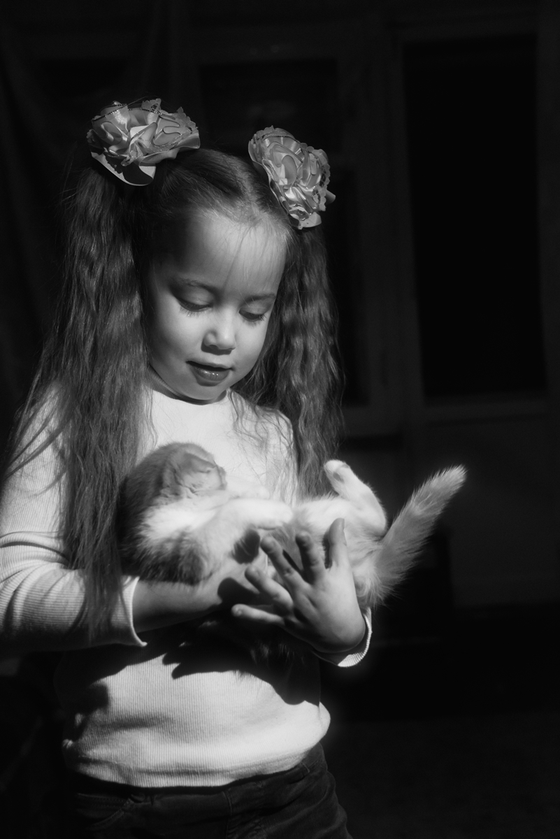 В гостях у котят