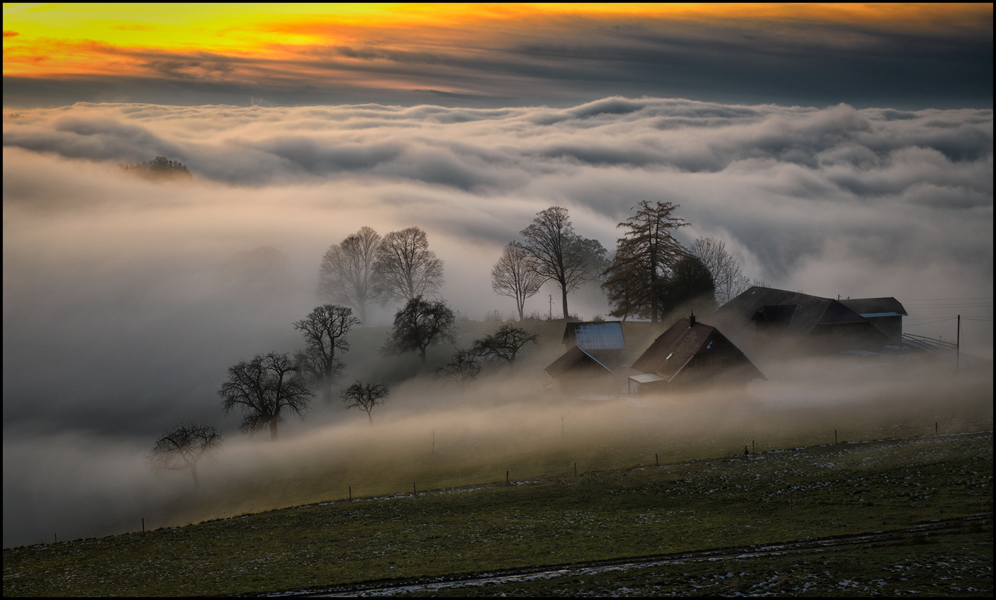 Sonnenuntergang über dem Nebel