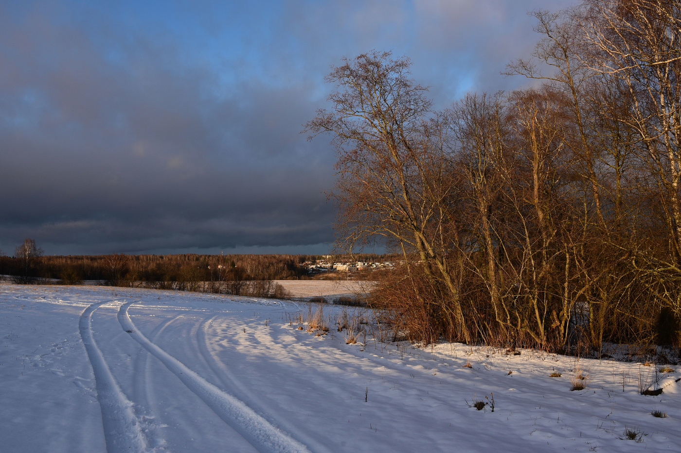 "Зимний день к концу подходит ..."