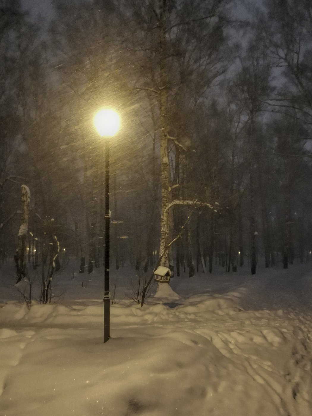 Крещенские не морозы