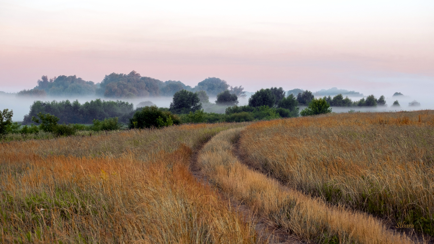 Дорога ведёт в туман.