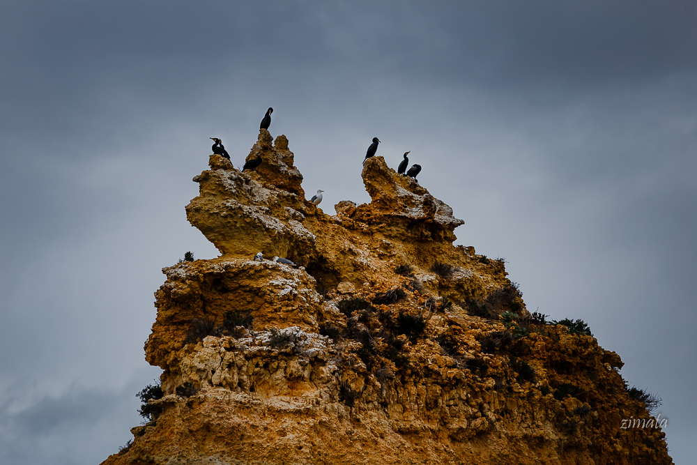 жители скал