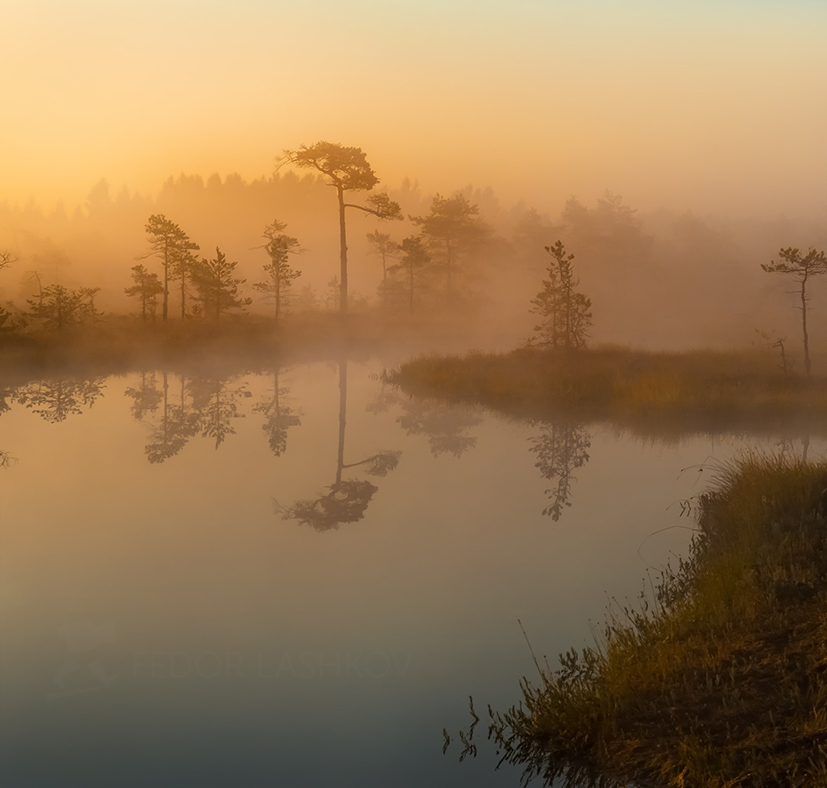 Зеркальный штиль