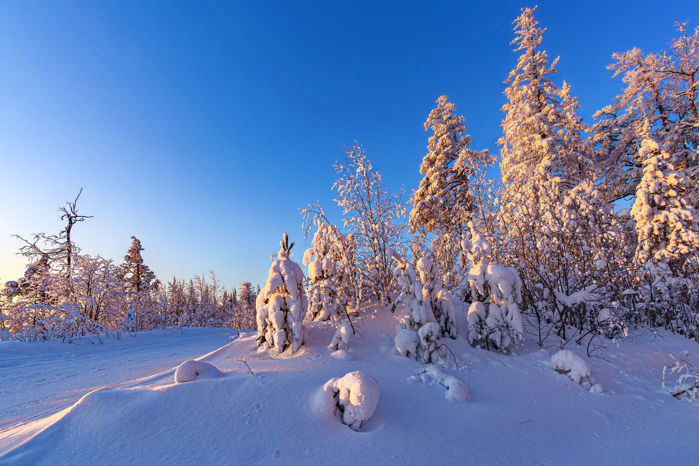 Утренний свет