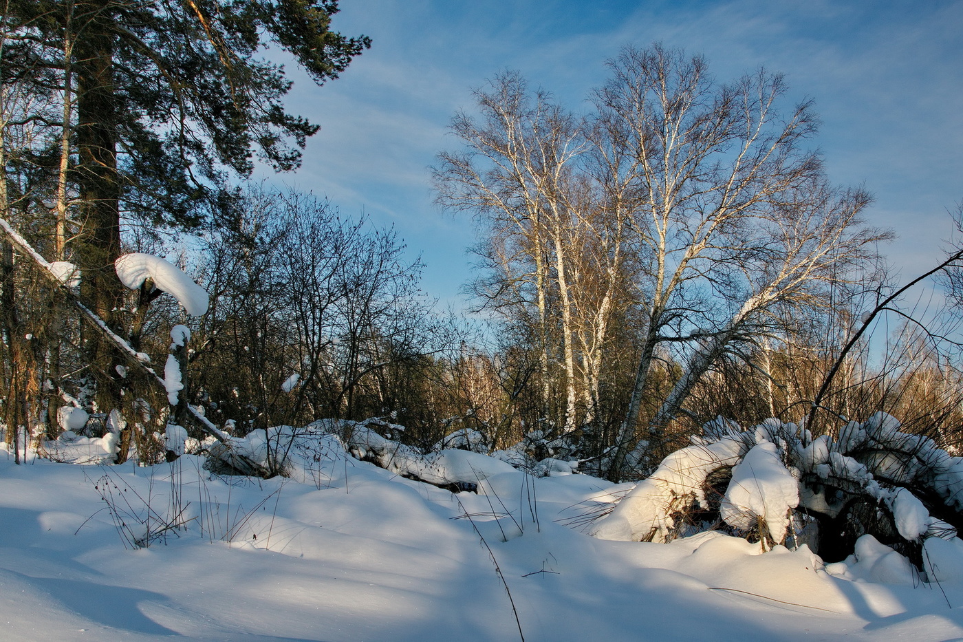 Январский полдень.