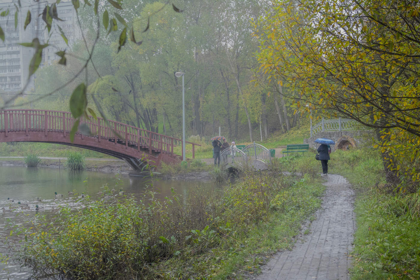 осенний парк